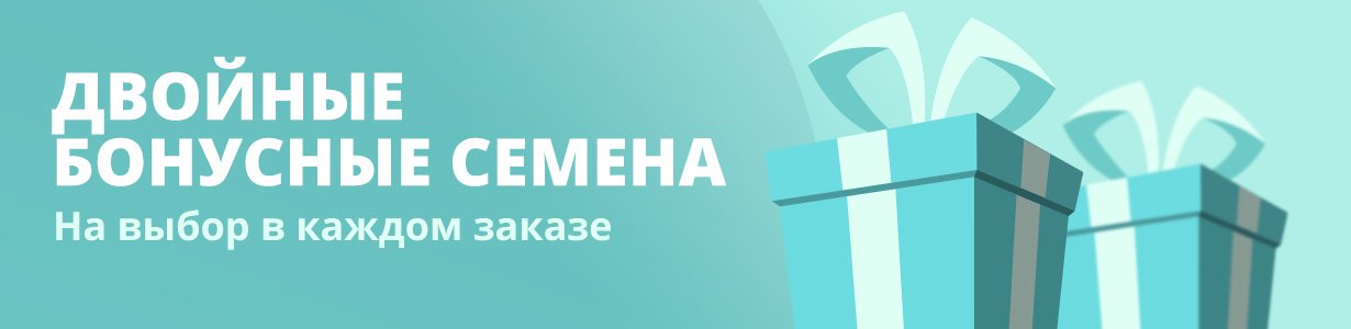 двойные семена конопли