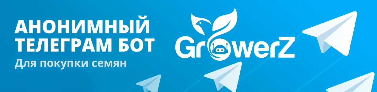 Телеграм бот GrowerZ купить семена марихуаны