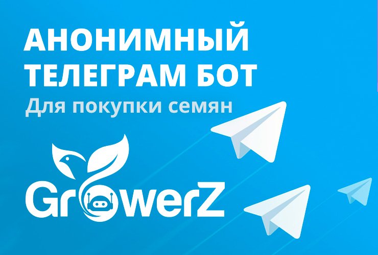 Телеграм бот GrowerZ купить семена марихуаны